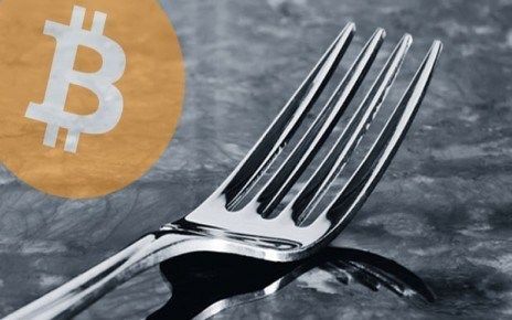 Cos'è il Fork bitcoin - fork bitcoin1