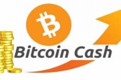 quotazione Bitcoin Cash
