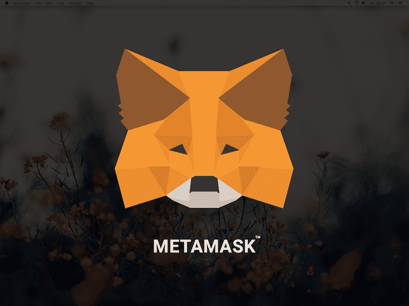 MetaMask: in arrivo l’app mobile! - metamask