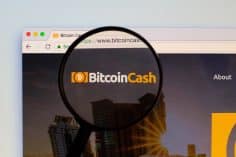 Bitcoin Cash: un nuovo aggiornamento per lo sviluppo della Lightning Network - Bitcoin Cash 236x157