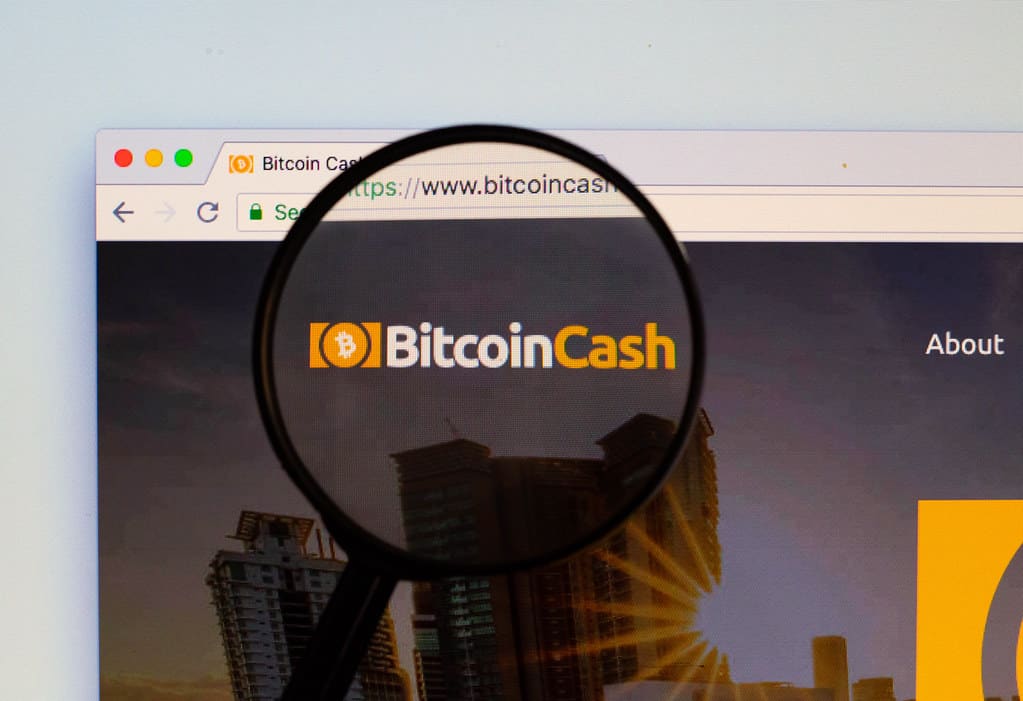 Bitcoin Cash: un nuovo aggiornamento per lo sviluppo della Lightning Network - Bitcoin Cash