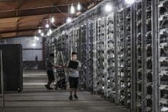 Il mining è realmente un pericolo per l’ecosistema? - bitcoin farm 236x157