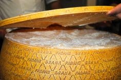 Liuzzi: si pensa all'uso della blockchain per il Made in Italy - Made in Italy 236x157