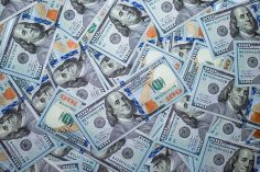 Dollaro-digitale-236x157 Coinbase: il governo Statunitense dovrebbe far creare il dollaro digitale a un'azienda privata  
