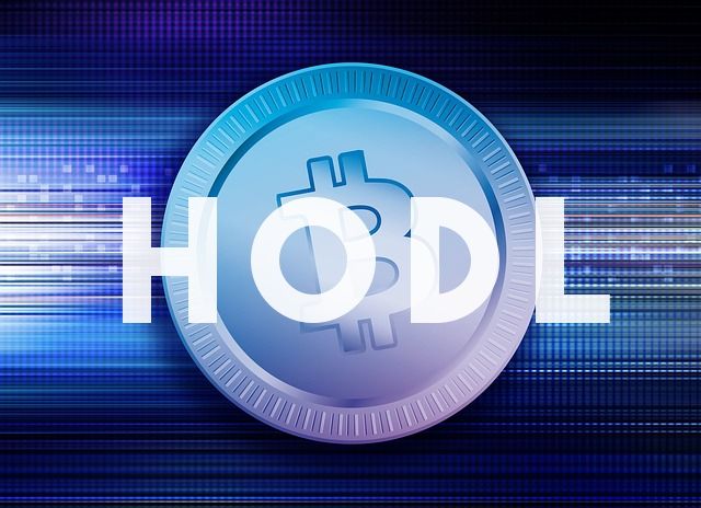 I titolari di oltre 11 milioni di Bitcoin stanno dimostrando che HODL non è solo un meme - bitcoin hodl meaning
