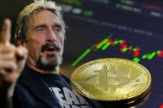 McAfee prende le distanze da Bitcoin e definisce la sua scommessa da 1 Milione di dollari uno “stratagemma” - McAfee Warns Bitcoin Investors To Stop Watching The Bitcoin Price Action Very Close 236x157