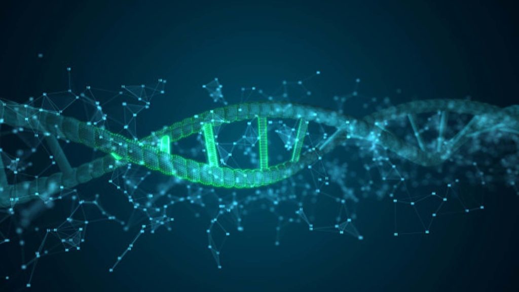 Blockchain continua ad impegnarsi per supportare il monitoraggio del COVID-19 con un nuovo progetto VirusBlockchain.com-Safer-Communities-and-Workplaces-With-Coronavirus-COVID-19-Blockchain-Monitor-1024x576 Blockchain continua ad impegnarsi per supportare il monitoraggio del COVID-19 con un nuovo progetto