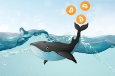 Bitcoin Whale: il più grande shock economico globale da generazioni - article whale 1 1140x641 1 236x157
