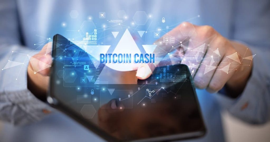 Bitcoin Cash si avvicina all’obiettivo del suo primo halving - bitcoin cash 1 1024x539