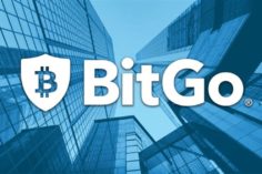 BitGo ora fornisce la custodia dei fondi per il più grande exchange di criptovalute dell'India - BitGo 236x157