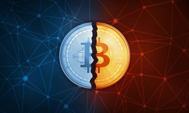 Arriva l’halving di bitcoin: i premi di mining dimezzano per la terza volta nella storia - The Bitcoin Halving Is Coming