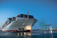 Cosco stringe un patto Blockchain per gli Ocean Cargo con Alibaba e Ant - cosco development 236x157