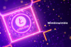 Le nuove dichiarazioni di Litecoin affermano che MimbleWimble procede senza problemi - Litecoin Mimblewimble Testnet on Track to September Launch 236x157