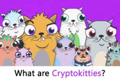 Cosa sono i CryptoKitties? - CryptoKitties 236x157