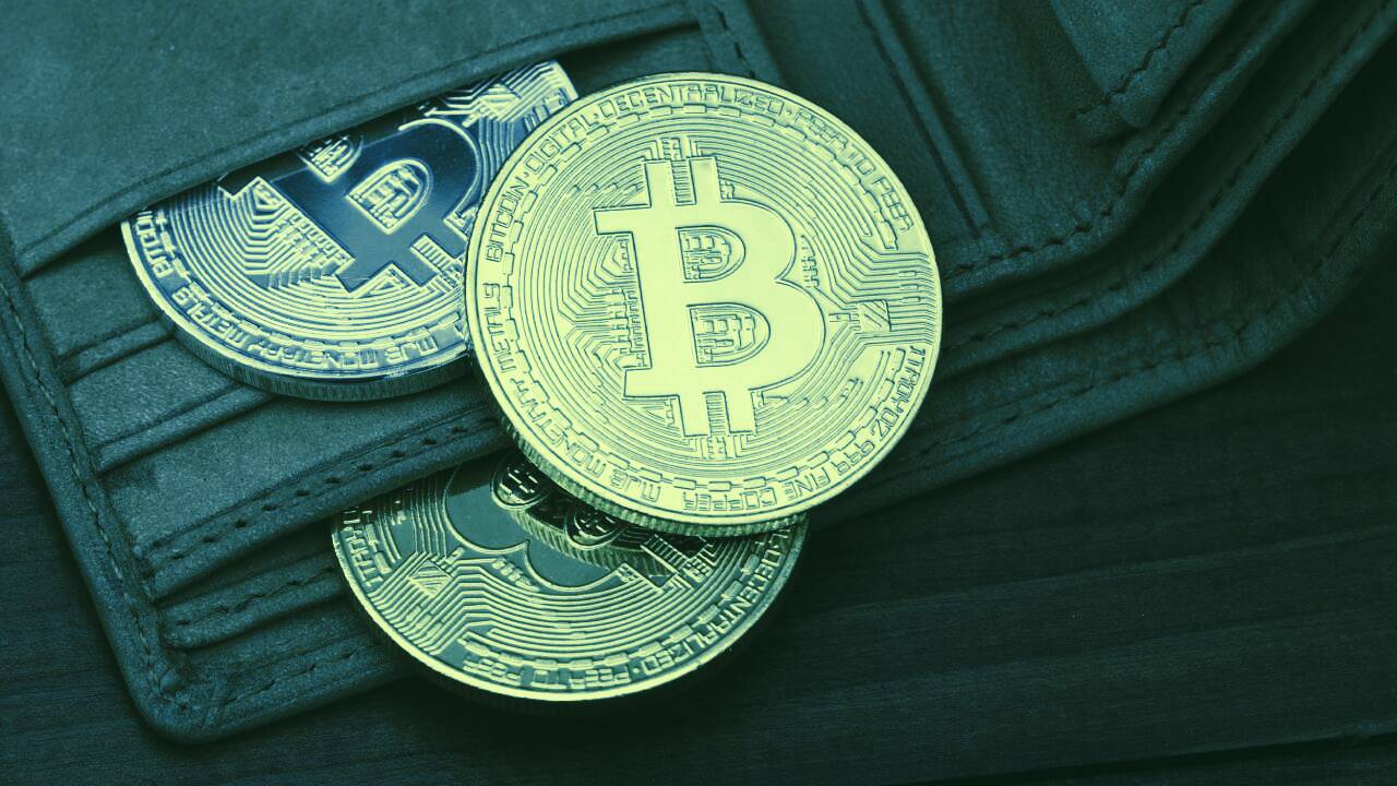 bitcoin trader zamorano