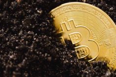 Bitcoin crolla a 31.000 $ a causa delle vendite negli Stati Uniti e in Europa - Bitcoin crolla a 31.000  236x157