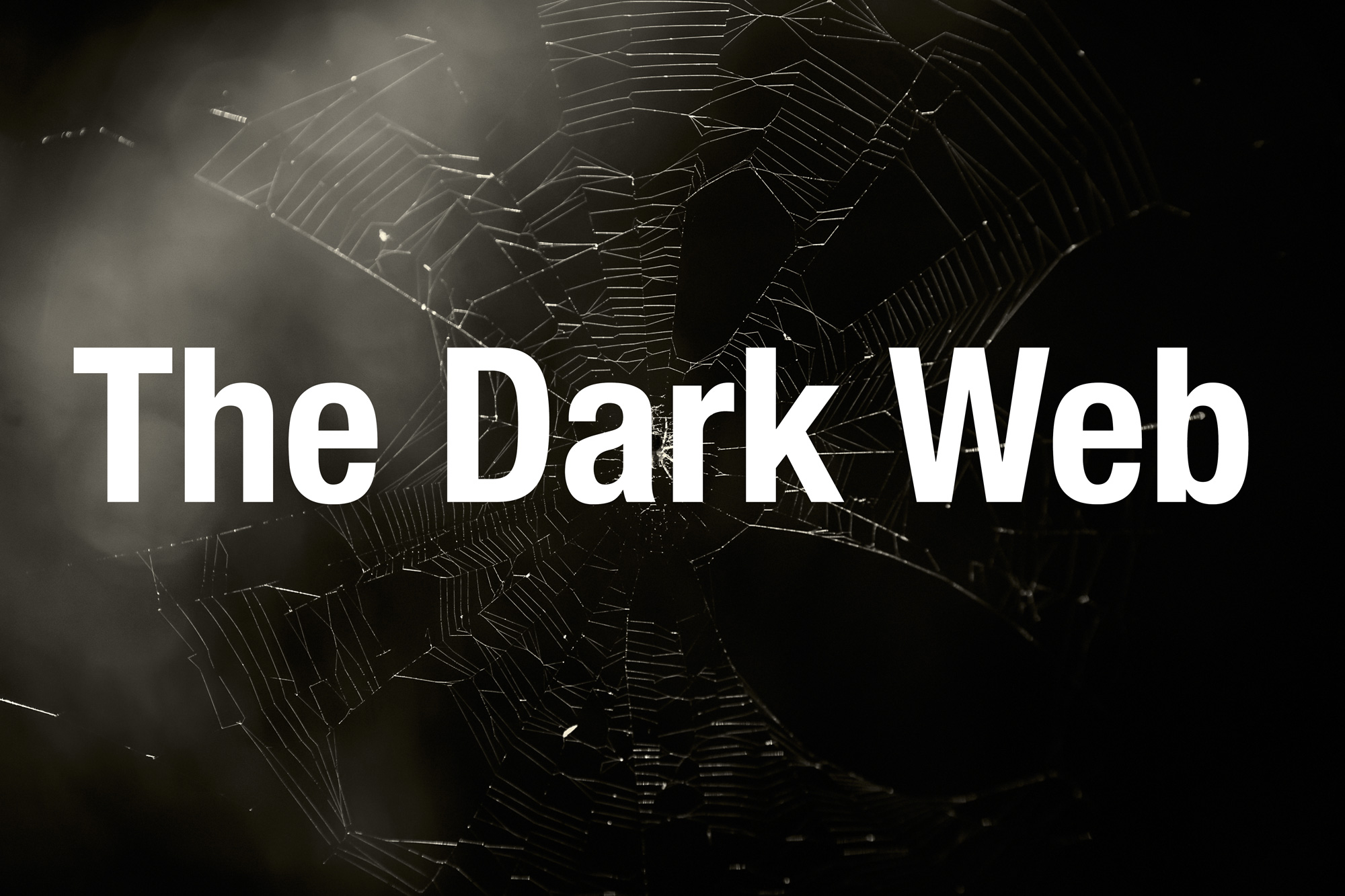 Dark Web Link