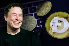 Elon Musk afferma che sosterrà completamente Dogecoin se le balene decideranno di vendere le loro monete - Elon Musk Dogecoin 236x157