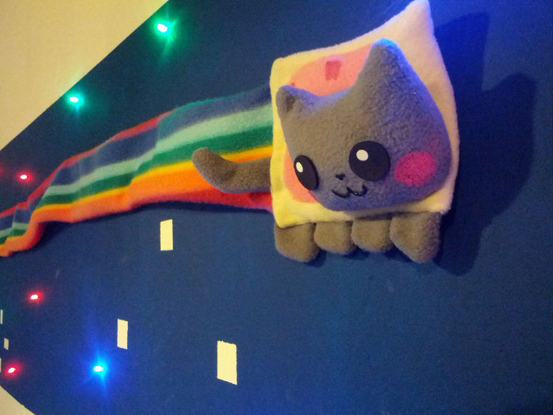 Nyan Cat NFT viene venduto per 300 ETH, aprendo le porte alla "Meme Economy" - nyan cat in a wall