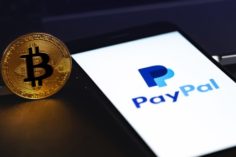 PayPal offre 500 milioni di dollari per acquisire la crypto Startup Curv - PayPal Curv 236x157