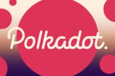 PINT vuole tokenizzare l'esposizione alle iniziative Polkadot  - Polkadot DOT Parachain 236x157