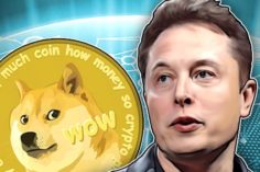 Elon Musk lancia un sondaggio: DOGE per pagare Tesla! - dogecoin elon musk 236x157