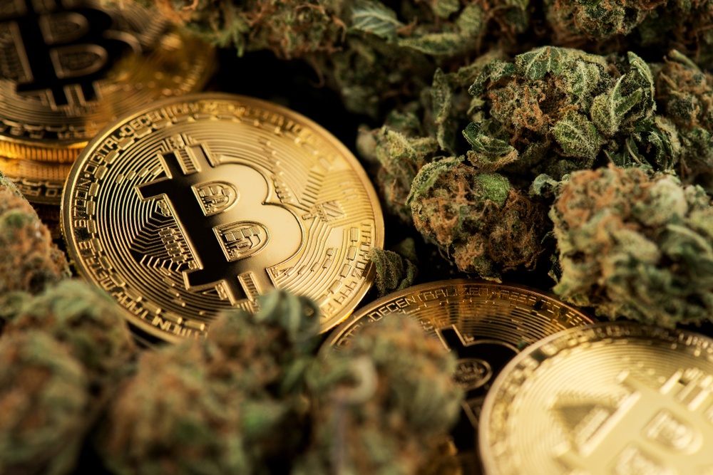 Il sorprendente legame tra Bitcoin e cannabis - Cannabis stock