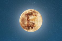 DOGE vs BTC: Elon Musk dichiara che la "corsa allo spazio" delle criptovalute con BitMEX è iniziata - bitcoin symbol moon starry sky background coin full surface cryptocurrency to concept 215238969 236x157
