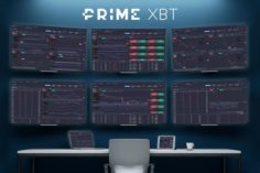 Analista PrimeXBT: Dot e KSM sono pronti ad emergere con l'avvicinarsi delle aste di slot parachain - primexbt2 236x157