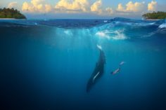 Kriptovaliutų „banginiai“ per parą išsigrynino mln. USD - Verslo žinios