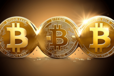 Uno scenario di dominio totale: Bitcoin (BTC) - cosa sono i bitcoin 236x157