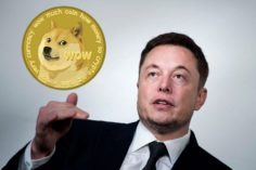 Il Dogecoin sale del 10% mentre Elon Musk indossa occhiali che riflettono l'immagine di Doge su Twitter - elon doge 236x157