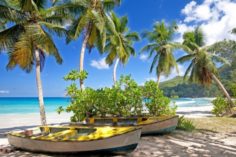 Le Seychelles esaminano i pro e i contro delle piattaforme di trading di criptovalute in licenza - seychelles quando andare e cosa vedere 236x157