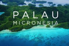 Ripple e la Repubblica di Palau collaborano per creare una valuta digitale - maxresdefault 236x157