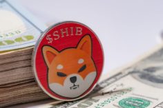 I possessori di Shiba Inu hanno esortato ad "acquistare al ribasso" mentre SHIB abbandona la Top 10 delle criptovalute - shiba Inu wallet 1 1140x570 1 236x157