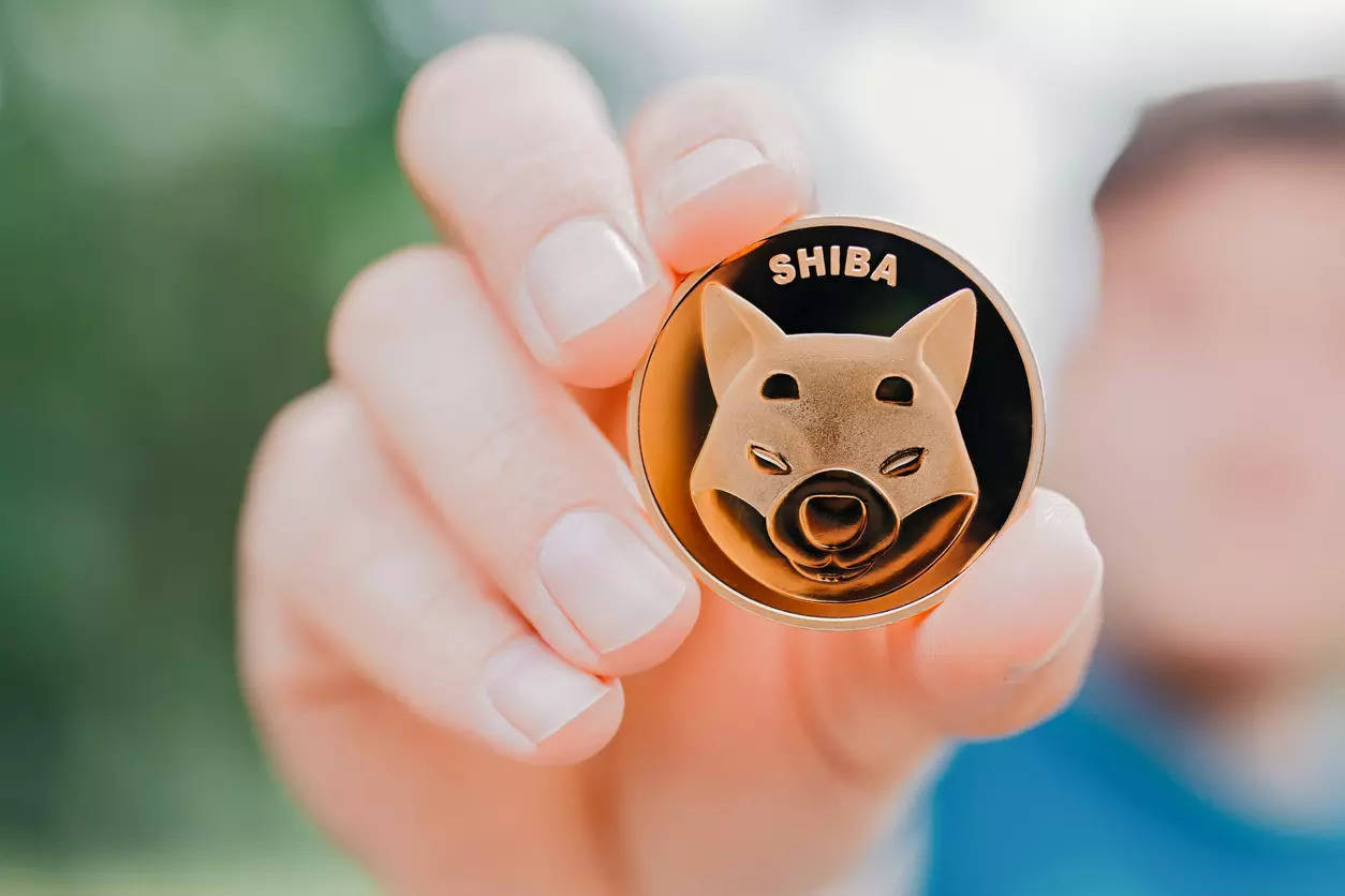 shiba inu kriptovaliuta)