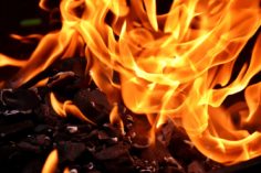 Shiba Inu brucia oltre 125 milioni di SHIB negli ultimi giorni - 5.8erosion control 236x157
