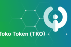 Toko Token (TKO) rilascia un whitepaper al Kripto Odyssey Summit 2021 - toko token 236x157