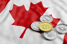 I canadesi verso il Bitcoin mentre il governo prende di mira i conti bancari - canada crypto wallet protests 236x157