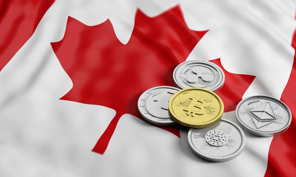 I canadesi verso il Bitcoin mentre il governo prende di mira i conti bancari - canada crypto wallet protests