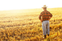 Gli agricoltori in Argentina potranno richiedere prestiti utilizzando grano tokenizzato su Ethereum - agricoltore 236x157