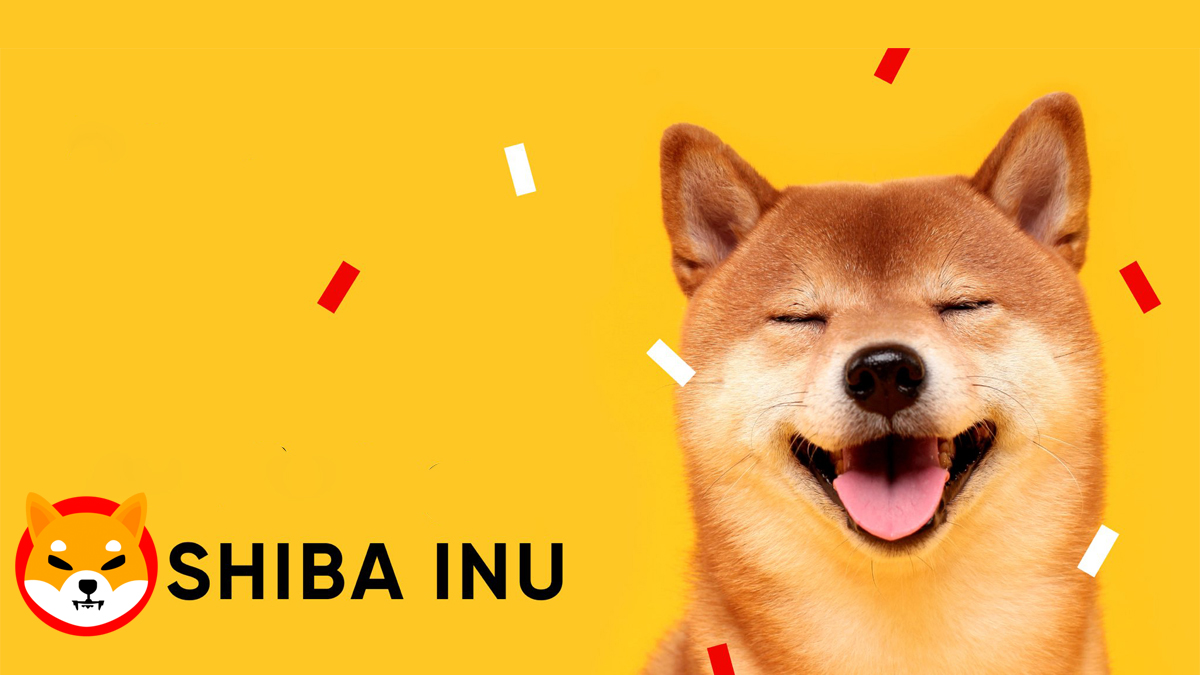 Si prevede un guadagno del 40% del prezzo di Shiba Inu ad aprile - Shiba token shib