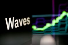Waves è il prossimo Shiba Inu? - adobestock alexander 1 1 236x157