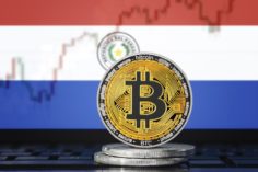 Il Senato del Paraguay approva la "legge sul bitcoin" e la trasmette al presidente - paraguay crypto bill 236x157