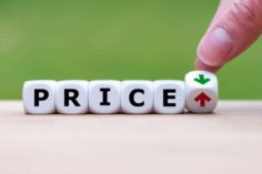 Previsione del prezzo di Tamadoge 2022-2025 - Price 1380x646 1 236x157