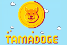 Tamadoge: le caratteristiche che lo rendono la migliore alternativa per gli investitori in criptovalute - Tamadoge 236x157