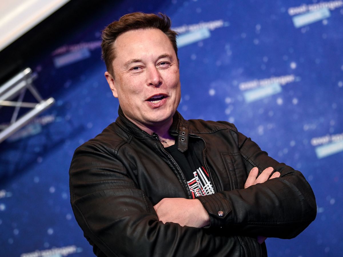 Tamadoge: la futura criptovaluta di Elon Musk? - 1200x 1