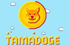 Tamadoge batte tutti i record! Oltre 10 milioni di dollati in 28 giorni! - Hottest New Meme Coin Tamadoge Reaches 2M During Presale 236x157