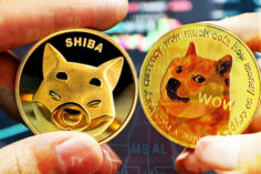 Tamadoge paragonata a Dogecoin e Shiba Inu dopo aver raccolto 11 milioni di dollari in quattro settimane - shiba dogecoin popularity 236x157