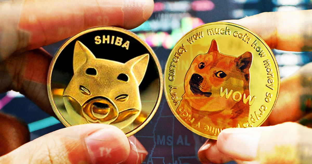 shiba-dogecoin-popularity Tamadoge paragonata a Dogecoin e Shiba Inu dopo aver raccolto 11 milioni di dollari in quattro settimane  